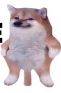dih fella // 269x408 // 165KB
