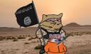 fella Kingcel Kingcel_Fella muslimeen // 680x403 // 49KB